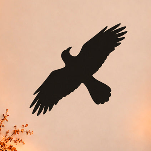 Hawk Stencil