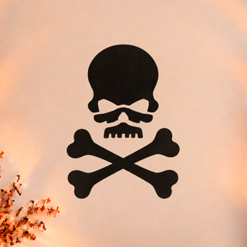 Skull and Crossbones Stencil - Design 2